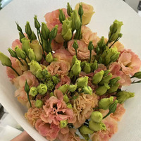 Rangkaian Bunga Mawar Segar Warna Pink dan Eustoma Alami untuk Dekorasi Keranjang Gantung, Menggunakan Kapas Penyerap, Panjang 70-80cm, 3+ Bunga Dounan di Tengah