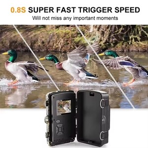 Caméra de surveillance de la faune 2026 avec vision <span class=keywords><strong>nocturne</strong></span>, objectif grand angle, étanche, capteur d'image 1080P pour la chasse aux animaux et les pièges - Product Image 4