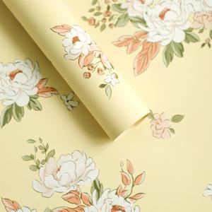 Thường Xanh Retro Hoa Mô Hình Giấy Gói Không Thấm Nước Hoa Hàn Quốc Bó Hoa Giấy Bán Hoa Phụ Kiện Nhà Cung Cấp Gói - Product Image 5