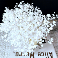 Karangan Bunga Hias dan Tanaman Bunga Awet Mini Baby's Breath Bunga Kering Karangan Bunga Putih Buket Gypsophila
