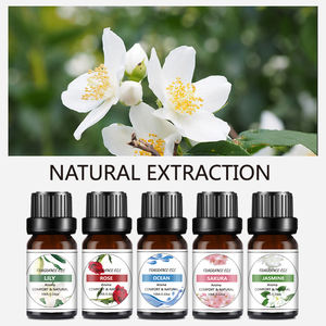 Aceite aromático fragante para revitalizador de aire a base de agua Ambientador Paquete de 6 aromas Juego de aceites solubles en agua Perfecto para humidificadores - Product Image 2