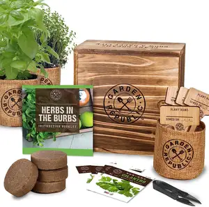 Gia truyền Kit vườn không biến đổi gen Húng Quế húng tây rau mùi tây rau mùi thảo mộc DIY phát triển bộ dụng cụ trong nhà thảo mộc vườn Starter Kit cho người mới bắt đầu