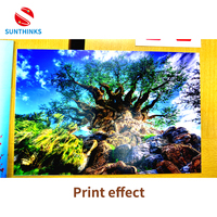 Sunthink Printer Inkjet Pabrik Shenzhen, Printer Seni Kuku Dua Warna Uv Printer Digital Teka Teki Multifungsi