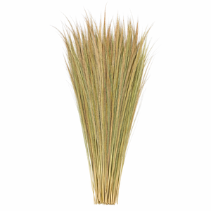 Matériaux bruts de balai en herbe naturelle écologiques et durables pour le nettoyage des sols, fabriqués en Java Central, Indonésie - Product Image 6