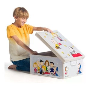 Caja que ahorra espacio (50x39x24cm) PEANUTS 660 PN - Product Image 2