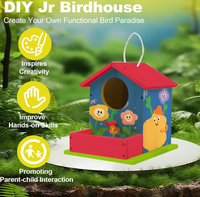 Vente de nichoirs à oiseaux en bois personnalisés, kit de nichoirs à oiseaux en bois à faire soi-même avec des peintures et des pinceaux