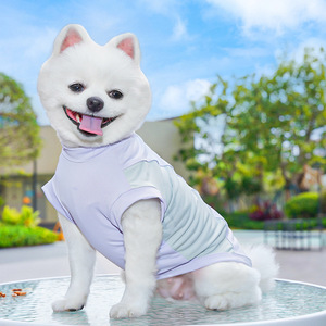 Chemise rafraîchissante à manches courtes pour chien et chat, printemps-été, vêtements de mode pour animaux de compagnie, design de luxe populaire - Product Image 5