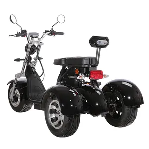 Citycoco 2023 terbaru sepeda motor listrik Harleyment Citycoco skuter 3 roda skuter listrik Citycoco