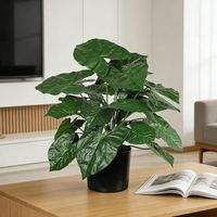 Tanaman Hias Meja Dalam Ruangan Desain Khusus, Tanaman Hijau Palsu Alocasia dalam Pot