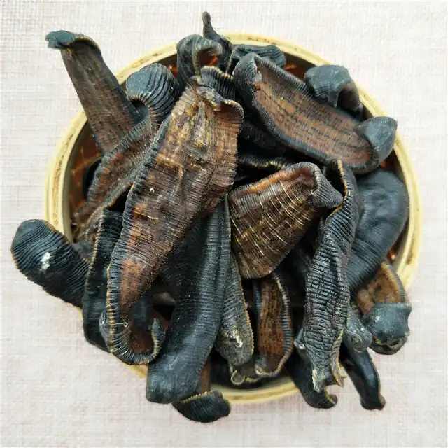Shui zhi single spices dried leech