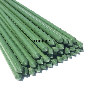Bâtons de soutien pour plantes en acier recouvert de plastique robustes, piquets pour tomates, piquets de jardin - Product Image 1