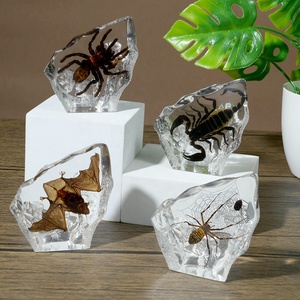 Mát Phong Cách Acrylic Bảng Trang Trí Taxidermy Côn Trùng Động Vật Nhựa Khối Bất Bug Mẫu Vật Nhúng Lucite Halloween - Product Image 1