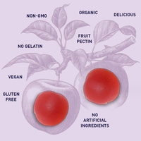 Gummies Minceur Similaires à Icon Slimming, Gummies Keto ACV pour la Perte de Poids, Gummies au Vinaigre de Cidre de Pomme pour la Perte de Poids, Gummies aux Fruits pour la Perte de Poids