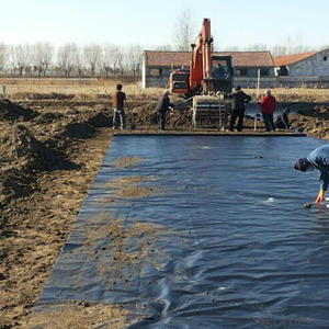 Geomanbraan Hdpe Aquarium Anti-Kwel Membraan Veel Gebruikt In Visvijver Water Conservancy Project Bouw Vocht-Proo - Product Image 3