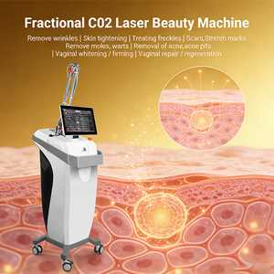 Máquina de Belleza con Láser Fraccional de CO2 para Rejuvenecimiento de la Piel, Función de Tensado Vaginal, Tubo RF, Láser Óptico de 10600nm, Metálico - Product Image 4