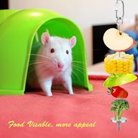 Mangeoire suspendue en acier inoxydable pour fruits et légumes, support de nourriture à fixer sur cage pour perroquets, hamsters et autres petits animaux