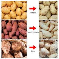 Automatische ui-, wortel-, aardappel- en gemberwas- en schilmachine/reinigingsmachine