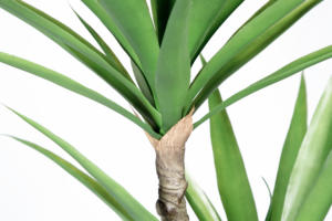 6 pies 180CM alto 3 <span class=keywords><strong>tronco</strong></span> 55 hojas hecho a mano falso gladiolo planta de <span class=keywords><strong>Agave</strong></span> Artificial para suelo interior granja Oficina regalo Decoración - Product Image 4