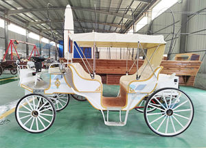 Carruaje de oro con estado Fabricante real Boda eléctrica Carruaje de caballos real - Product Image 2