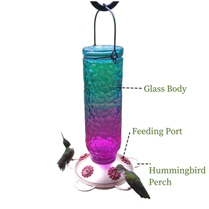 Comedero para Pájaros Colgante, a Prueba de Hormigas y Abejas, Comederos de Vidrio para Colibríes para Exteriores - Product Image 2