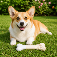 Jouet à mâcher pour chien en caoutchouc PA+ durable, moderne, en forme d'os, pour le nettoyage dentaire, interactif, disponible en 2 couleurs