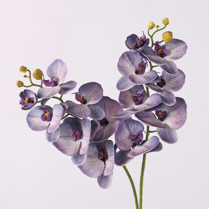 Künstliche Phalaenopsis-Orchidee Nordische Orchidee Heimdekoration 3D-Gedruckte Projekt-Hochzeitsfotografie Kunstblume TY-24022203 - Product Image 3