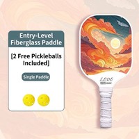 Raquette de pickleball professionnelle haute puissance en fibre de verre avec noyau en nid d'abeille PP, contrôle de puissance