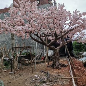 Arbre à fleurs <span class=keywords><strong>de</strong></span> cerisier rose <span class=keywords><strong>de</strong></span> conception nouvelle 2025, <span class=keywords><strong>grand</strong></span> arbre décoratif à fleurs, tronc <span class=keywords><strong>en</strong></span> fibre <span class=keywords><strong>de</strong></span> verre et <span class=keywords><strong>bois</strong></span> pour la décoration <span class=keywords><strong>de</strong></span> restaurant - Product Image 5