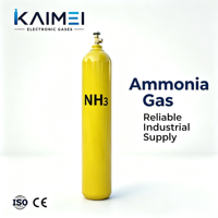 Cilindro de Gas Amoníaco NH3 de Acero 6N4 de Ultra Alta Pureza 99.9999% 47L 23kg con Válvula DISS720 para LED y Semiconductores
