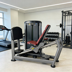 Máquina de gimnasio de alta calidad con certificación CE para sentadillas/prensa de piernas sentado, equipo de fitness y fuerza con inclinación de 45 grados - Product Image 3