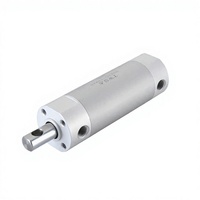 DHR2C-32M40 Mini vérin rotatif en aluminium léger de qualité supérieure, actionneur à bascule latérale standard, certifié CE, OEM