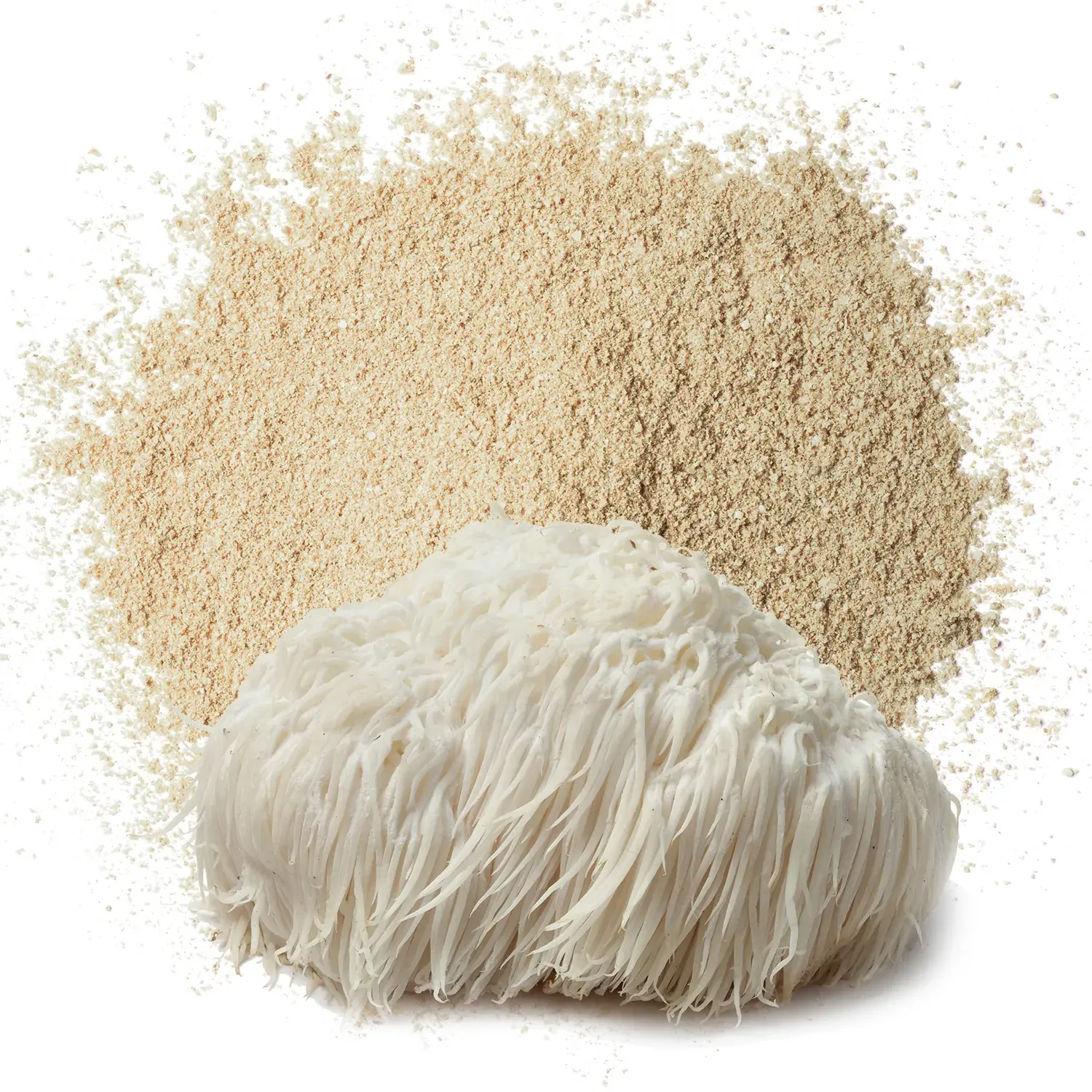 Bubuk ekstrak Hericium Erinaceus jumlah besar ORGANIK MURNI bahan baku berkualitas 50:1 bubuk ekstrak ganda jamur singa