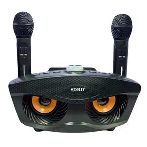 In Stock SDRD Speaker Karaoke Wireless Microphones Included