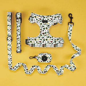 Logotipo personalizado Personalizado Neoprene New <span class=keywords><strong>Dog</strong></span> <span class=keywords><strong>Harness</strong></span> Define Kit Luxo Ajustável Pet <span class=keywords><strong>Dog</strong></span> Leash e <span class=keywords><strong>Harness</strong></span> Puppy Set para <span class=keywords><strong>Dog</strong></span> - Product Image 1