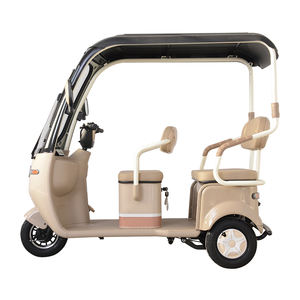 Remorque de transport ouverte en acier personnalisable <span class=keywords><strong>pour</strong></span> trois personnes, abri contre la pluie, <span class=keywords><strong>pour</strong></span> personnes âgées et handicapées, transport urbain, tricycle électrique - Product Image 3