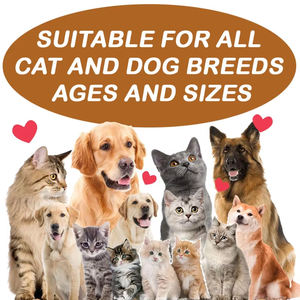 Delicioso compuesto de sabor probióticos y prebióticos ayuda para la <span class=keywords><strong>diarrea</strong></span> multivitamínico y mineral masticable para <span class=keywords><strong>perros</strong></span> y gatos - Product Image 3