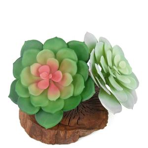 Mini piante finte <span class=keywords><strong>colorate</strong></span> artificiali <span class=keywords><strong>succulente</strong></span> per la decorazione della scrivania - Product Image 6