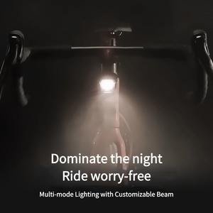 Vélo de route de haute qualité japonais avec ordinateur de vélo Basikal vélo de route en aluminium 6061 vélo pour femmes vélo de route - Product Image 3