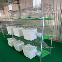 Cage à lapins personnalisable à 9 compartiments avec fil galvanisé à chaud pour l'élevage de lapins bébés