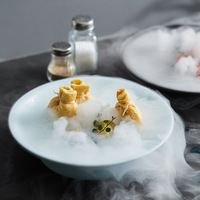 Premium keramische droogijsplaat voor fine dining restaurant rookpresentatie, creatieve moleculaire gastronomie serveerschaal