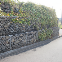 Vente en gros directe usine DINGYANG Panier à gabions en fil d'acier revêtu de PVC galvanisé à chaud 6*2*0.23m 2x1x1 pour mur de soutènement / Gabion