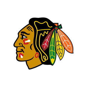 थोक 32 यूएस विननीपेग जेट टीम लोगो प्रशंसकों की बड़ी चेन हार हिप हॉप 3 डी एवा फोम हार - Product Image 6