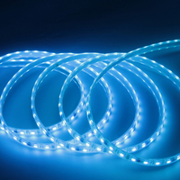 SHIJI DC12V 60pcs UCS1903 RGB LED Smart Strip Lights pour la maison