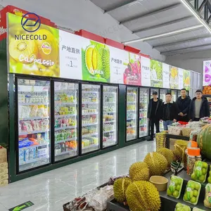 Custom New Style Refrigeration Equipment Glass Door Walk-In Coolers Freezer For Fruit Flower And Vegetable