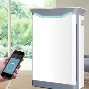 HOMEFISH Tuya Wifi Smart App contrôle chine purificateur d'air domestique multifonctionnel grand Commercial à vendre