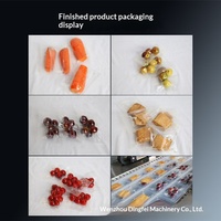 Thermoform vacuümverpakkingsmachine (Modified Atmosphere Sealing) voor fruit, groenten, eendenhalzen/gevogelte 1000kg