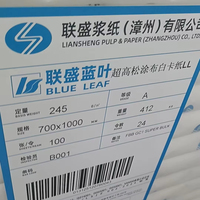 Carton Ivoire CIS SUPER HAUTE DENSITÉ 245 g/m² – Format le plus vendu 700x1000 mm – Emballage en vrac – LIANSHENG PULP & PAPER – BLUE LEAF