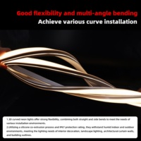 Bande LED TRX, usine, DC12V 24V, blanc, RGB, bande LED flexible, lumière de plafond intérieure, lumière de bande LED néon imperméable pour extérieur