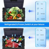 Compresseur 12/24V DC 110/240V AC, congélateur à glaçons à double zone, compartiments isolés 30L/40L/50L, sac à dos portable pour les voyages