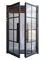 Porte d'entrée en acier K-draw, porte française avec verre transparent, porte à rupture de pont thermique, conçue pour l'économie d'énergie et l'isolation